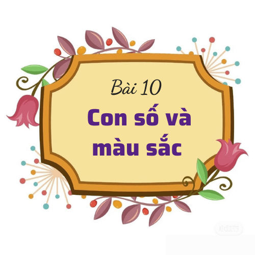 Bài 10: Con số và màu sắc